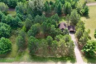 29691 County 26, Browerville, MN 56438 - Photo 45