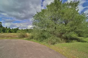 Tbd Grouse Ct, Little Falls, MN 56345 - Photo 1