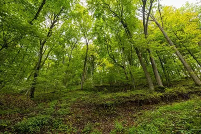 0 110th Street, Spring Valley, WI 54767 - Photo 45