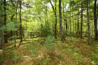 28206 Pardun Road, Danbury, WI 54830 - Photo 41