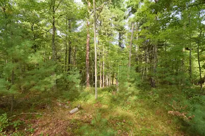 28206 Pardun Road, Danbury, WI 54830 - Photo 35