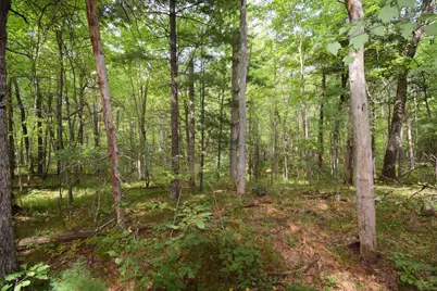 28206 Pardun Road, Danbury, WI 54830 - Photo 39