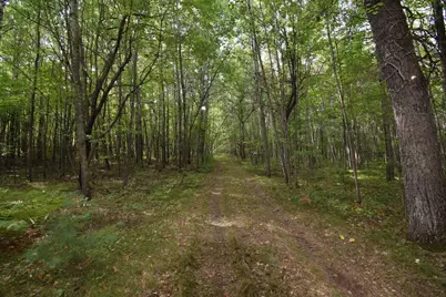 28206 Pardun Road, Danbury, WI 54830 - Photo 23