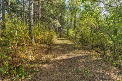 Tbd Rocky Ridge Road, Henning, MN 56551 - Photo 5