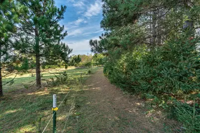 Tbd Rocky Ridge Road, Henning, MN 56551 - Photo 9