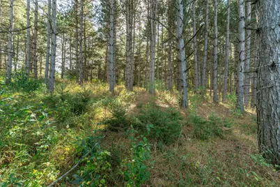 Tbd Rocky Ridge Road, Henning, MN 56551 - Photo 3