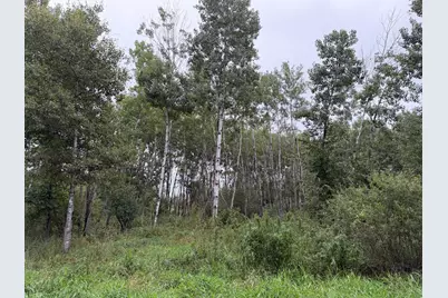 Tbd 189th Avenue, Menahga, MN 56464 - Photo 59