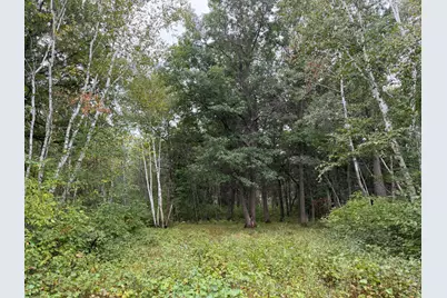 Tbd 189th Avenue, Menahga, MN 56464 - Photo 61