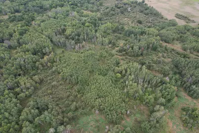 Tbd 189th Avenue, Menahga, MN 56464 - Photo 15