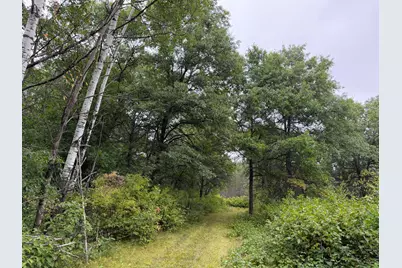 Tbd 189th Avenue, Menahga, MN 56464 - Photo 45