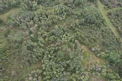 Tbd 189th Avenue, Menahga, MN 56464 - Photo 13