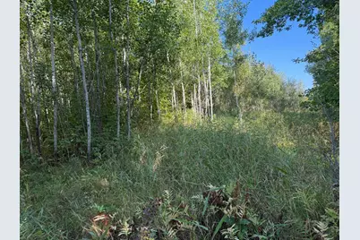 Tbd 290th Street, Onamia, MN 56359 - Photo 43