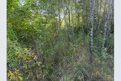 Tbd 290th Street, Onamia, MN 56359 - Photo 87