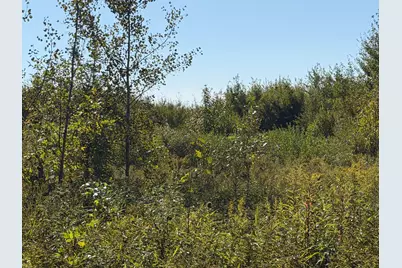 Tbd 290th Street, Onamia, MN 56359 - Photo 29