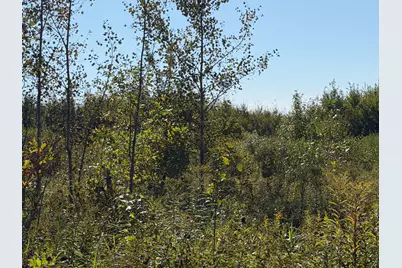 Tbd 290th Street, Onamia, MN 56359 - Photo 25