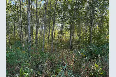 Tbd 290th Street, Onamia, MN 56359 - Photo 5