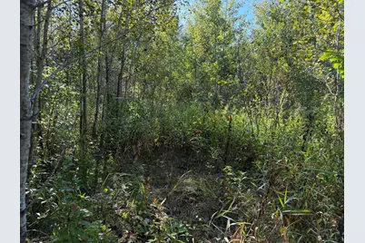 Tbd 290th Street, Onamia, MN 56359 - Photo 85