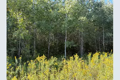 Tbd 290th Street, Onamia, MN 56359 - Photo 21