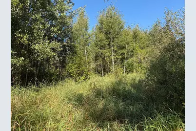 Tbd 290th Street, Onamia, MN 56359 - Photo 47