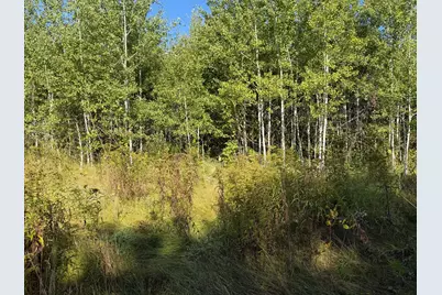 Tbd 290th Street, Onamia, MN 56359 - Photo 23