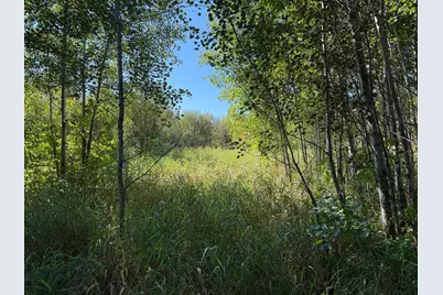 Tbd 290th Street, Onamia, MN 56359 - Photo 17