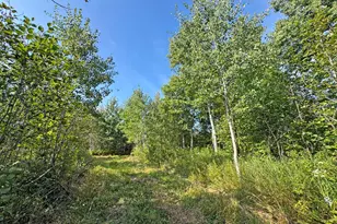 10745 Hwy 8, Floodwood, MN 55736 - Photo 73