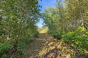 10745 Hwy 8, Floodwood, MN 55736 - Photo 75