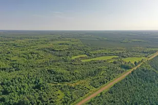 10745 Hwy 8, Floodwood, MN 55736 - Photo 9