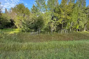 Tbd Gull Lake Loop Rd, Hines, MN 56647 - Photo 1
