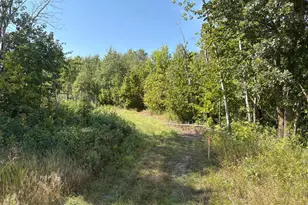 7189 185th St, Randall, MN 56475 - Photo 37