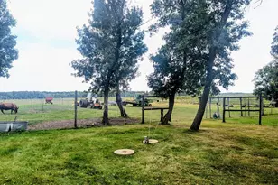 7189 185th St, Randall, MN 56475 - Photo 13