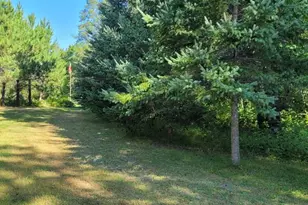 1393 Cottonwood Trail SW, Pine River, MN 56474 - Photo 3