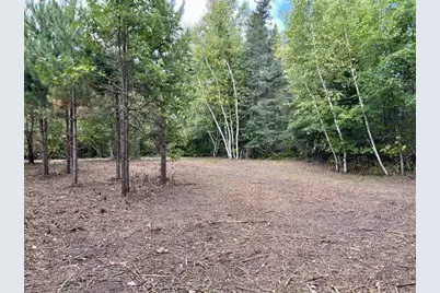 Lot 14 New Melahn Dr (Lot14), Lake George Township, MN 56458 - Photo 5