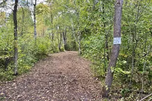 Lot 17 New Melahn Dr, Lake George Township, MN 56458 - Photo 1