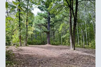 Lot 17 New Melahn Drive, Lake George Township, MN 56458 - Photo 3