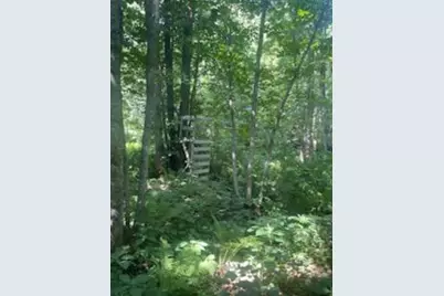 Tbd Whitewater Road, Emily, MN 56447 - Photo 5
