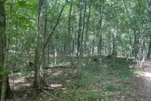 Tbd Whitewater Rd, Emily, MN 56447 - Photo 1