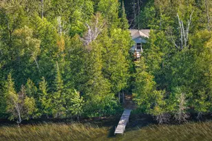 29453 Timberwolf Rd NE, Pennington, MN 56663 - Photo 19