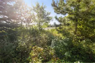 4451 See Gull Cove, Brainerd, MN 56401 - Photo 29