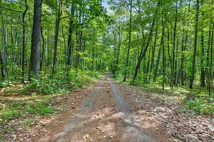 17305 Pioneer Rd, Cable, WI 54821 - Photo 45