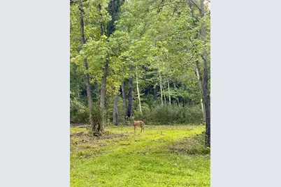 56305 S Dora Lake Road, Northome, MN 56661 - Photo 1