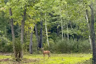 56305 S Dora Lake Rd, Northome, MN 56661 - Photo 1