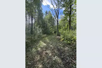 56305 S Dora Lake Road, Northome, MN 56661 - Photo 7