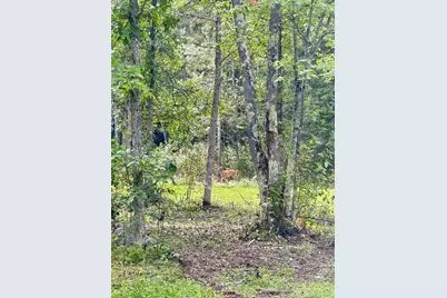 56305 S Dora Lake Road, Northome, MN 56661 - Photo 3