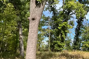 Tbd Twin Bluff Ln S, Stockholm, WI 54769 - Photo 1
