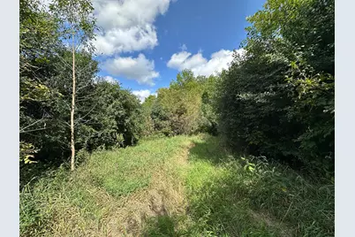 Tbd 230th Avenue, Fergus Falls, MN 56537 - Photo 19
