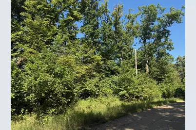 4Xyz Pinewood Court, Browerville, MN 56438 - Photo 17
