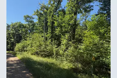 4Xyz Pinewood Court, Browerville, MN 56438 - Photo 3