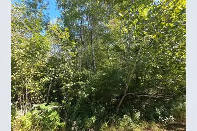 2550 270th Avenue, Brook Park, MN 55007 - Photo 23