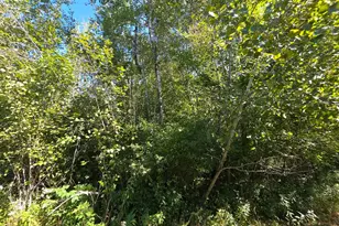 2550 270th Ave, Brook Park, MN 55007 - Photo 25